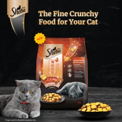 Sheba Chicken Flavour Kitten and Adult Cat Dry Food